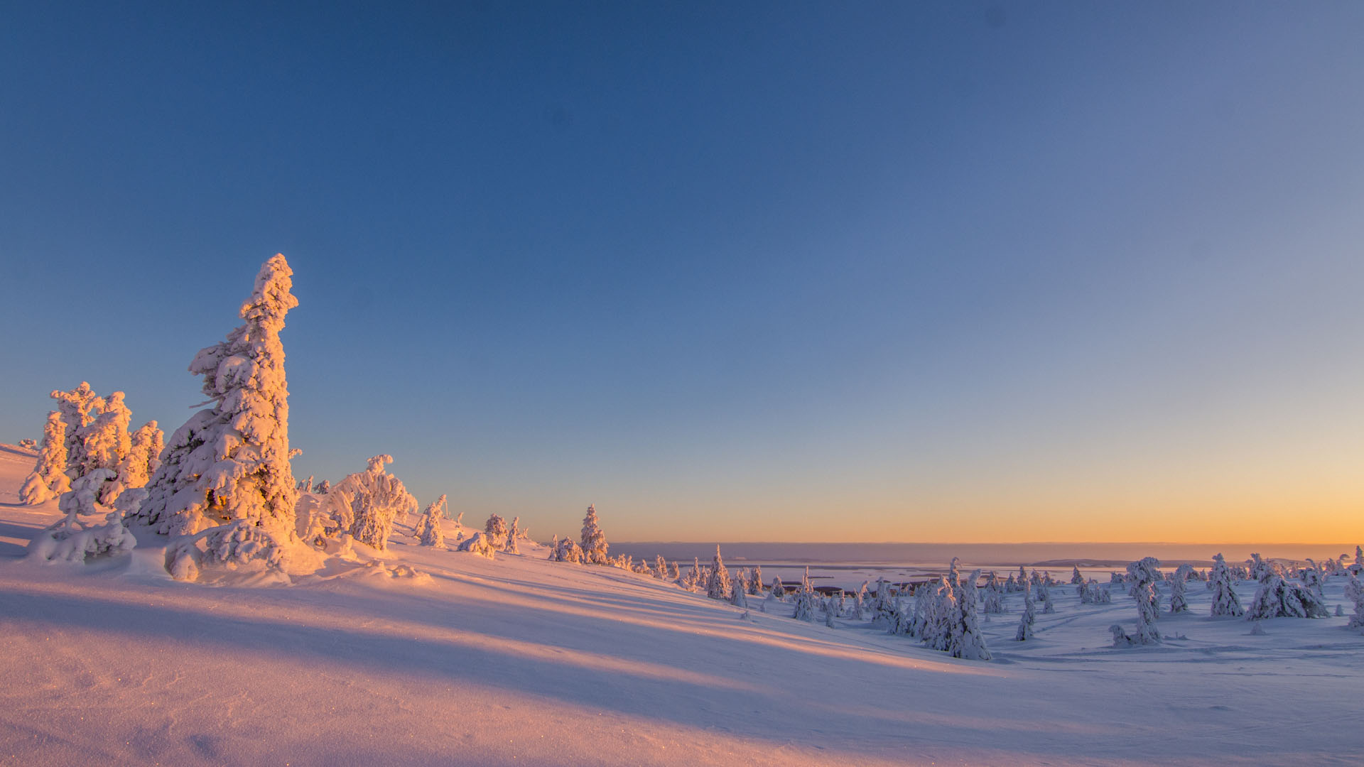 Talvinen maisema, jossa näkyy kirkas taivas ja lumen peittämiä puita.
